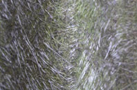 Oversley Green fibreglass roof work